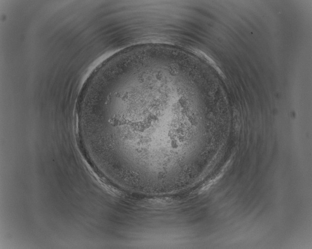 X0000073751125200608171324