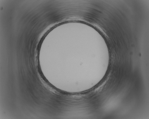 X0000073751126200608171324