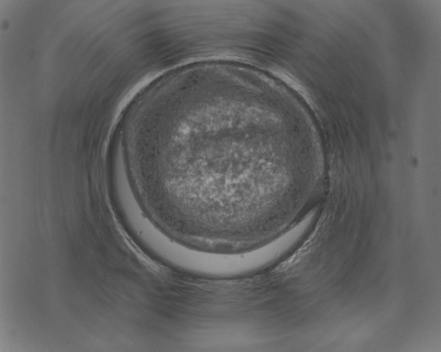 X0000073751127200608171324