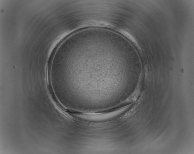 X0000073751128200608171324