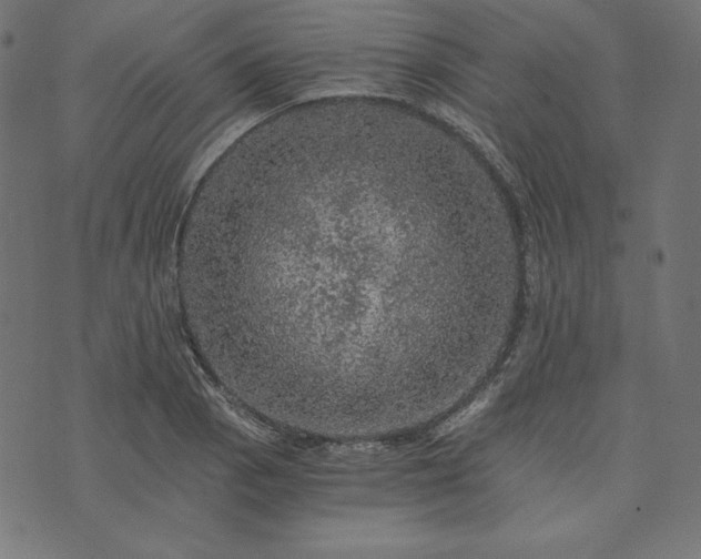 X0000073751129200608171324