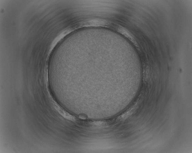 X0000073751130200608171324