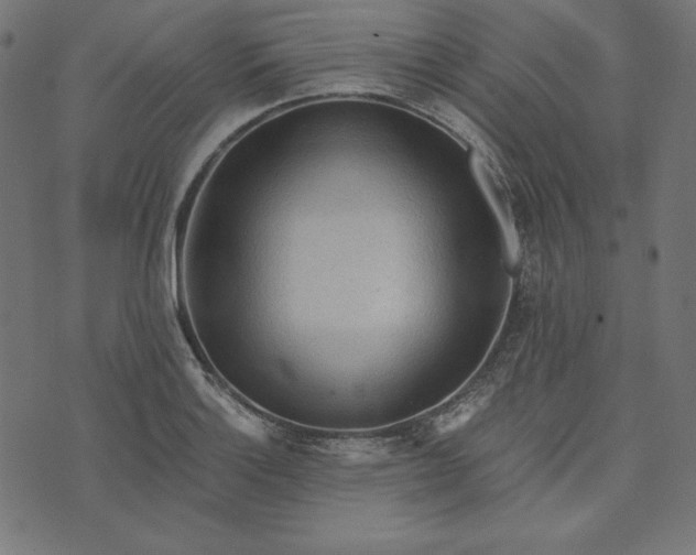 X0000073751132200608171324