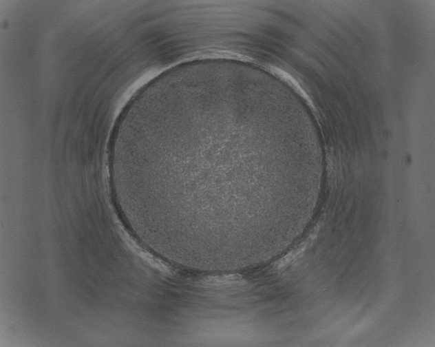 X0000073751133200608171324