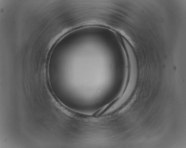 X0000073751134200608171324