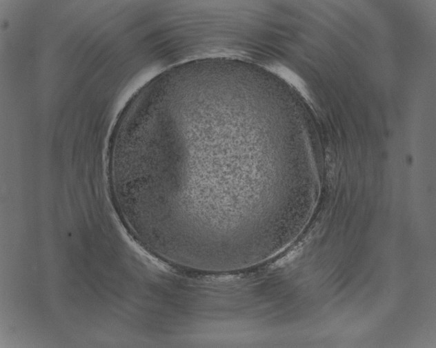 X0000073751135200608171324