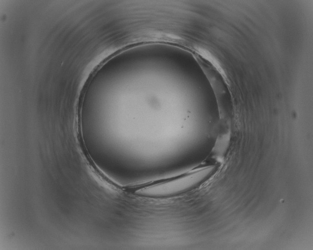 X0000073751136200608171324