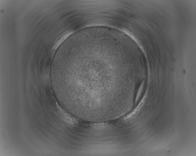 X0000073751137200608171324