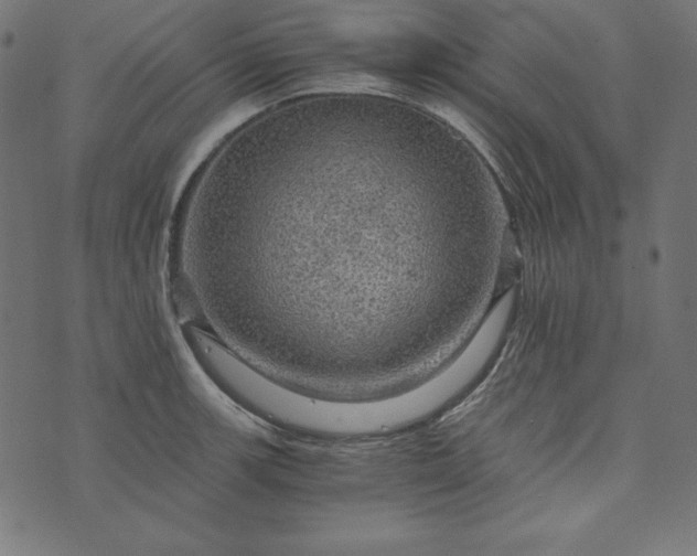 X0000073751139200608171324