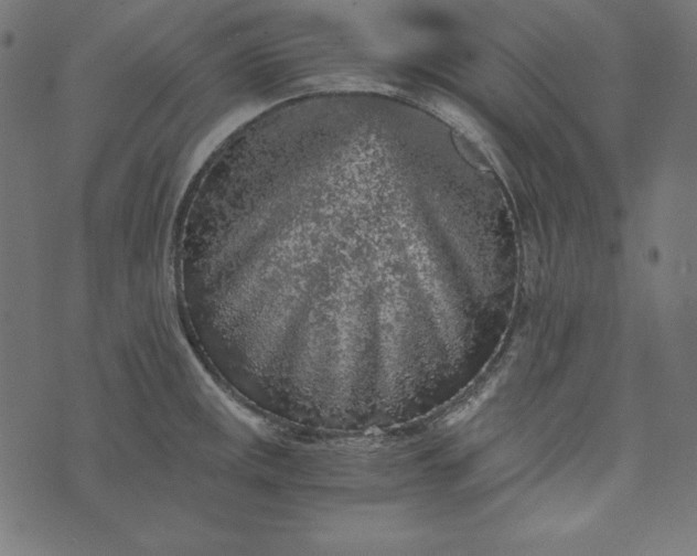 X0000073751141200608171325