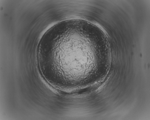 X0000073751142200608171325