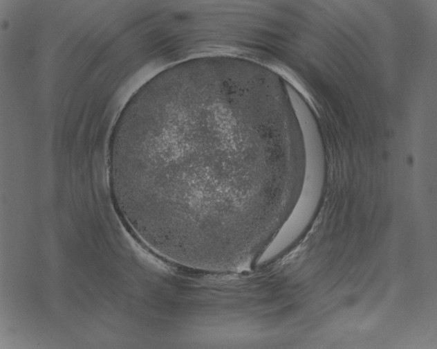 X0000073751143200608171325