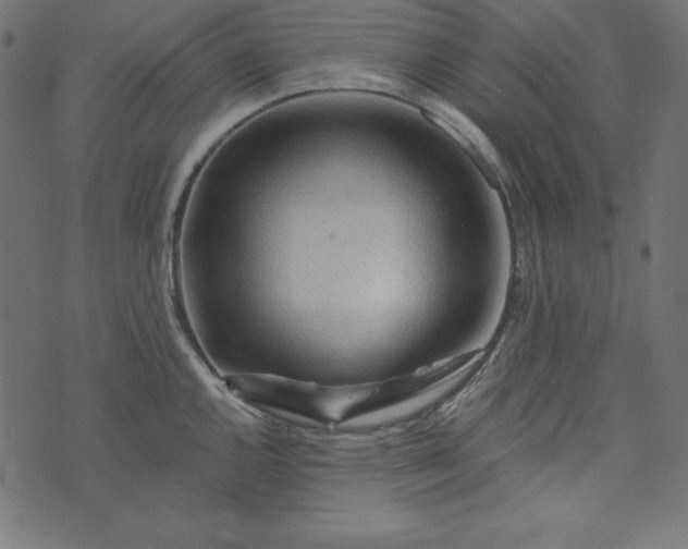 X0000073751144200608171325