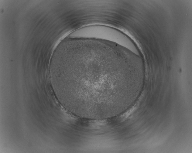 X0000073751145200608171325