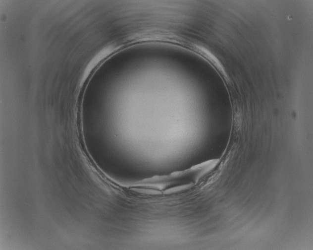 X0000073751146200608171325