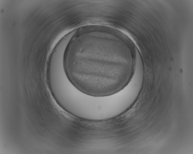 X0000073751147200608171325