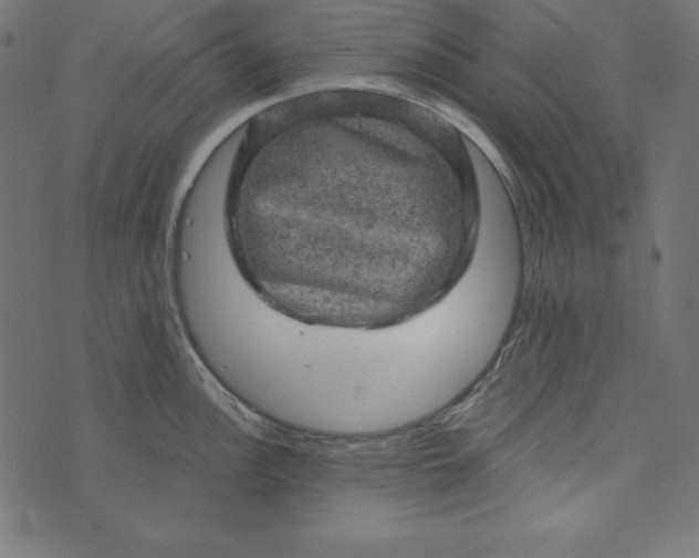 X0000073751148200608171325