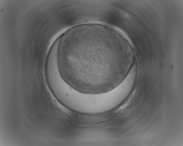 X0000073751149200608171325