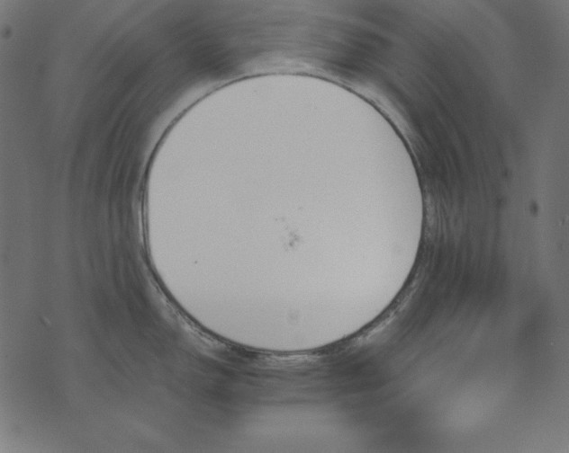 X0000073751150200608171325