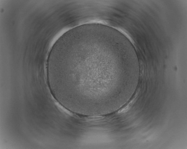 X0000073751151200608171325