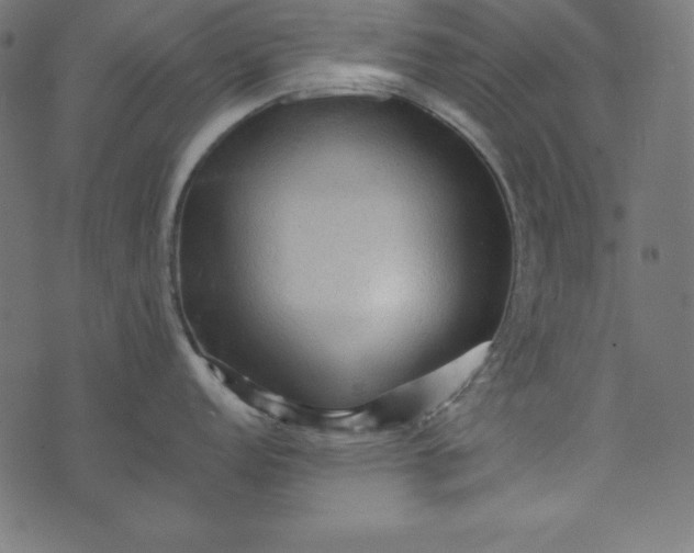 X0000073751152200608171325