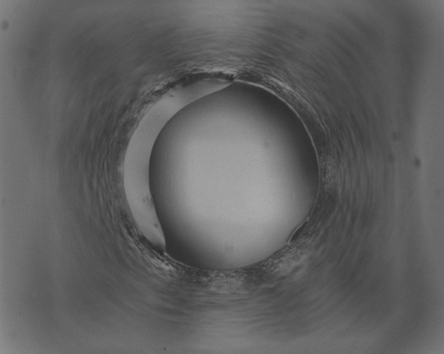 X0000073751153200608171324