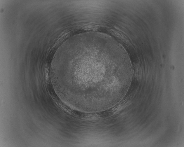 X0000073751154200608171324