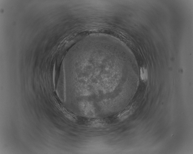 X0000073751155200608171324