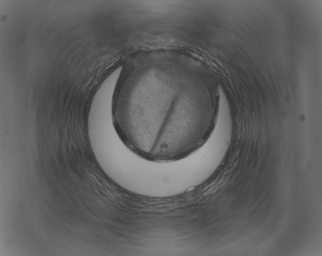 X0000073751156200608171324