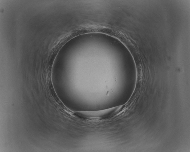 X0000073751157200608171324