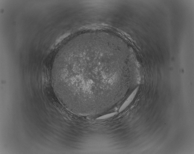 X0000073751158200608171324