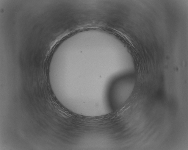 X0000073751160200608171324