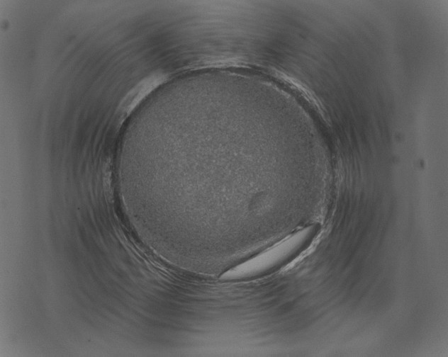 X0000073751162200608171324