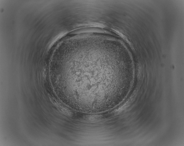 X0000073751163200608171324