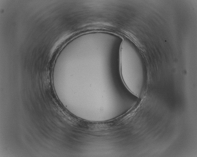 X0000073751164200608171324