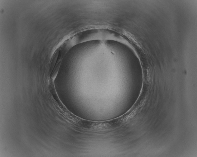 X0000073751165200608171324