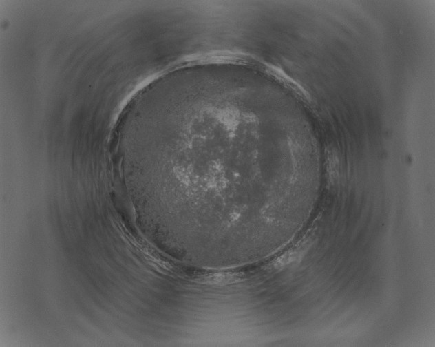 X0000073751166200608171324