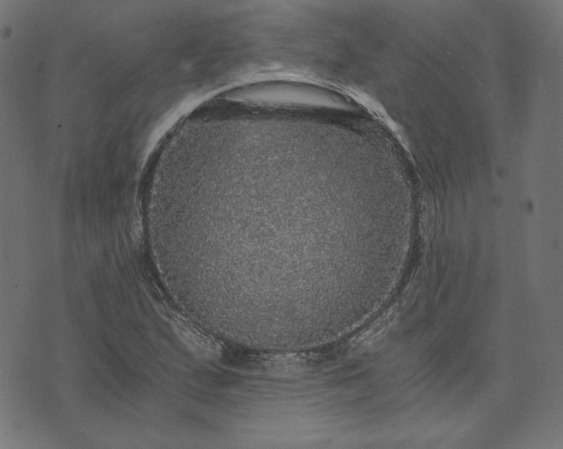 X0000073751167200608171324