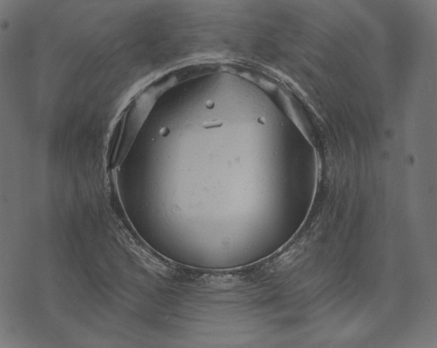 X0000073751168200608171324