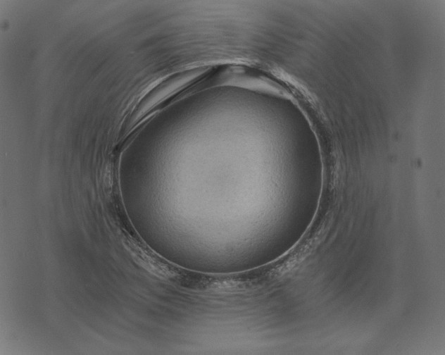 X0000073751169200608171324