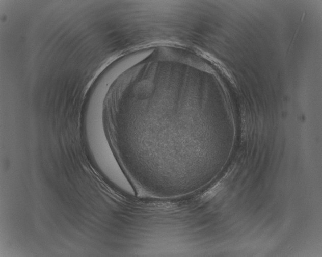 X0000073751170200608171324