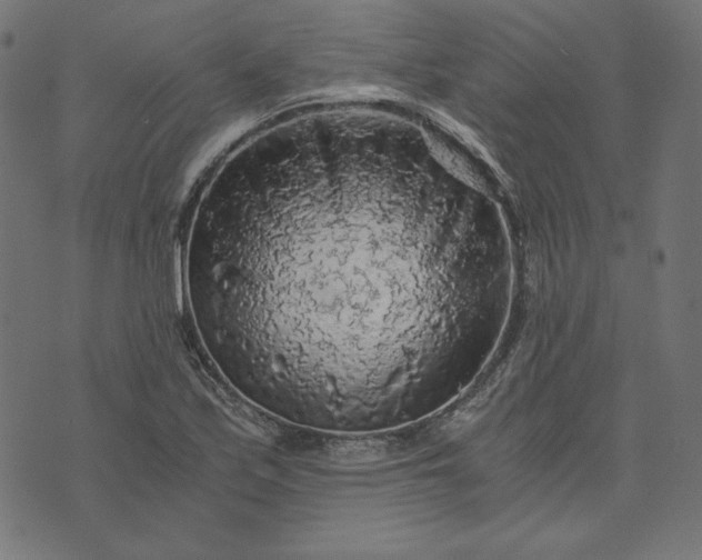 X0000073751171200608171324