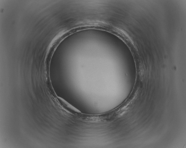 X0000073751172200608171324