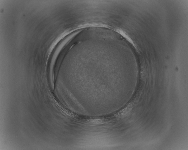 X0000073751173200608171324