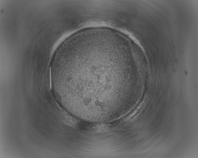 X0000073751175200608171324