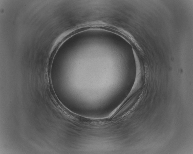 X0000073751176200608171324