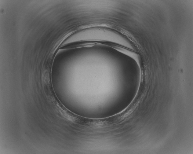 X0000073751177200608171324