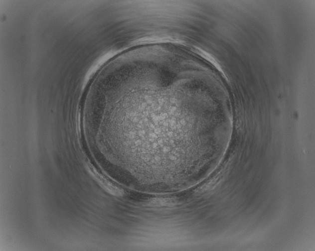 X0000073751179200608171323