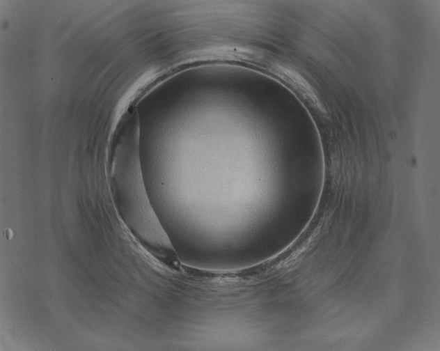 X0000073751180200608171323