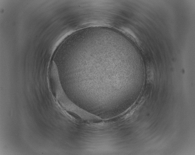 X0000073751182200608171323